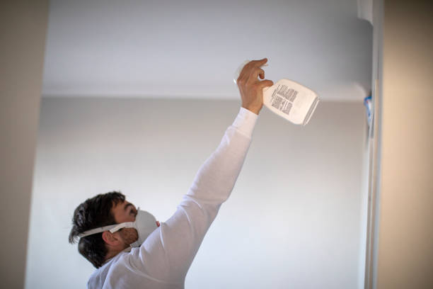 Best Crawl Space Mold Removal  in Alexandria, IN