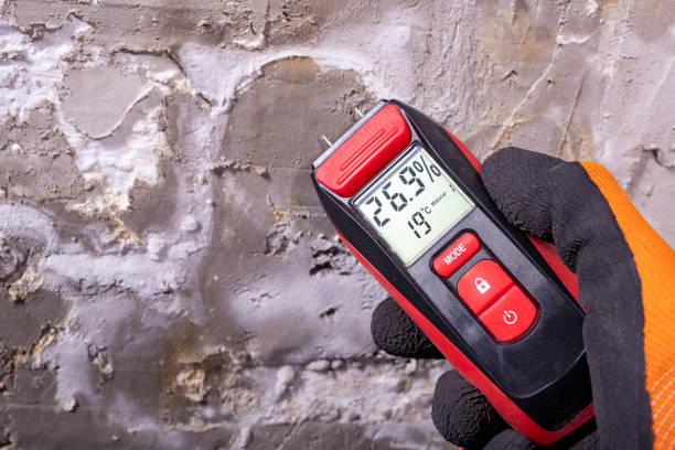 Best Residential Mold Removal  in Alexandria, IN