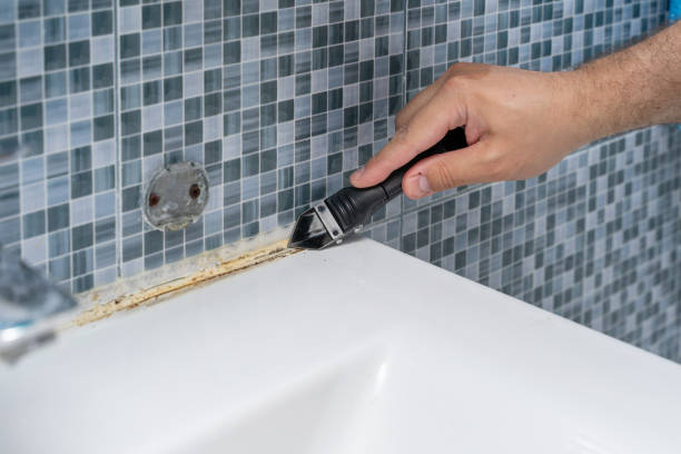 Best Certified Mold Removal  in Alexandria, IN
