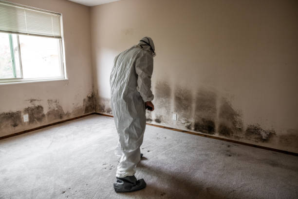 Crawl Space Mold Removal in Alexandria, IN